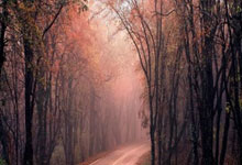 切尔西vs伯恩利直播哪里看？这场英超对决有哪些看点？