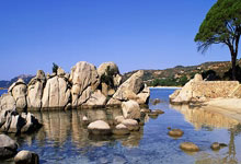 拉齐奥vs国际米兰谁能赢？这场意甲对决比分会如何？